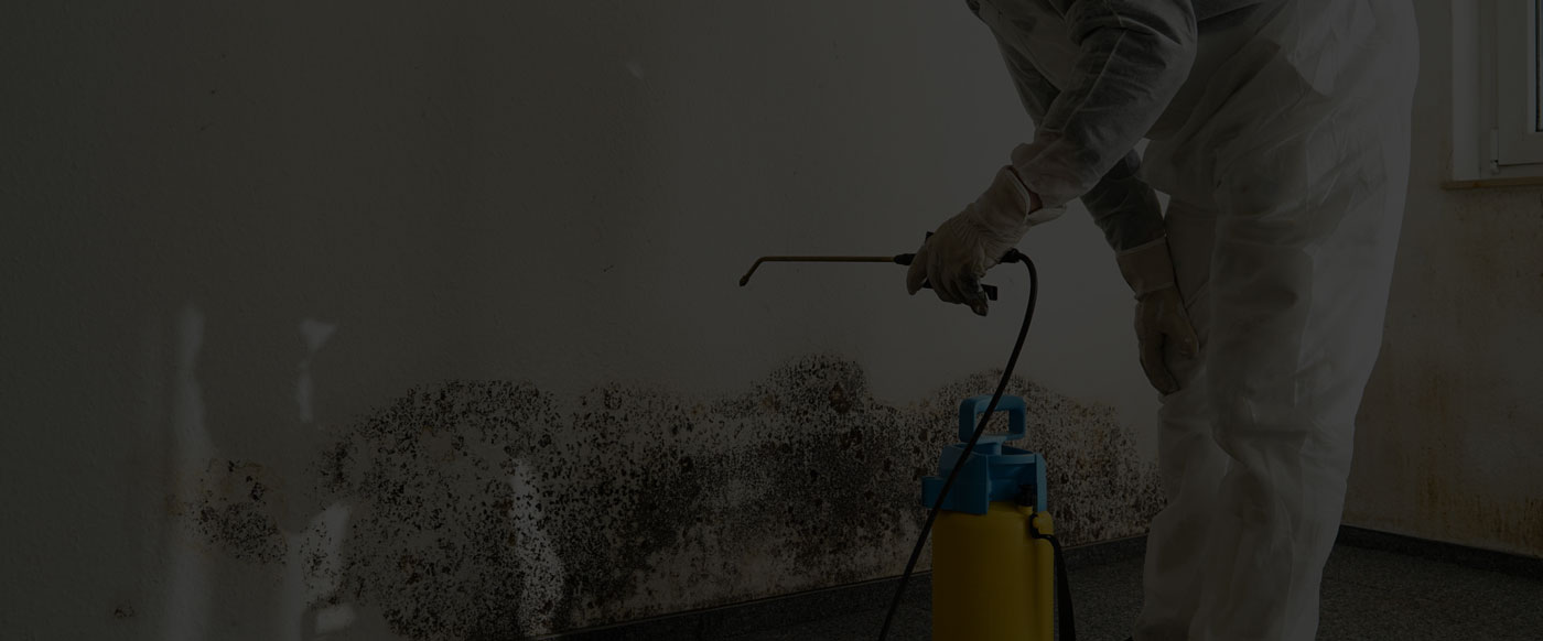 mold remediation, mold removal, mold remediation toronto, mold specialist toronto, cold room mold removal, mold cleaning services, black mold toronto, reliable mold services, wall removal toronto, mold cleaning company, mold inspection, mold remediation services, mold removal services, mold removal toronto, mold remediation services toronto, mold removal services toronto